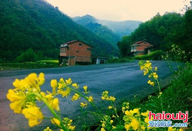 多虧鄉(xiāng)下婆婆來照顧兒媳，才知道家具甲醛超標(biāo)兒子決定搬家啦.jpg