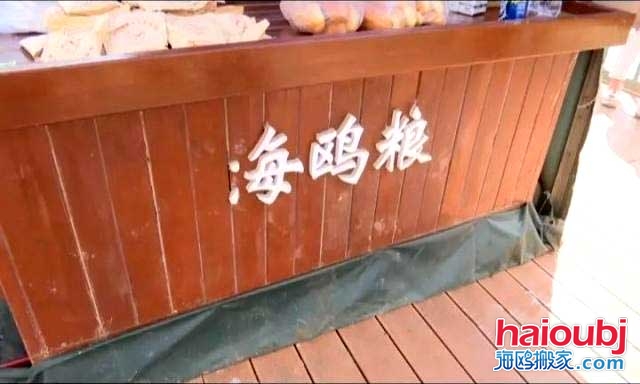 昆明海鷗搬家稱一老板返鄉(xiāng)探病，留下鷗糧供游客投喂結(jié)果出乎意料.jpg