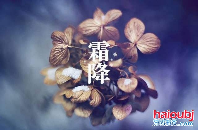 2019年霜降的第二天可以搬家嗎，如果搬家需要注意些什么？.jpg